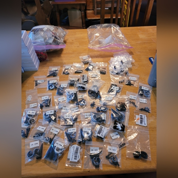 Guage Earrings - Picture 1 of 10